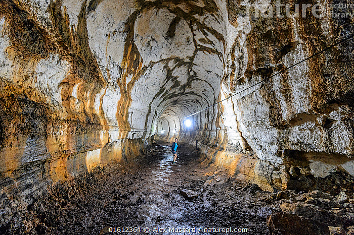 Stock photo of Tourist explores a lava tube beneath Santa Cruz