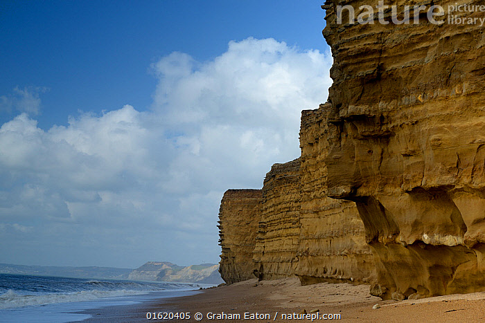 Stock photo of Wave cut notch at the base of a sea cliff, Burton ...