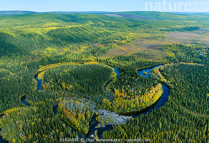 Stock Photo Of Aerial View Of Headwaters Of The Lena River Siberia   01620811 