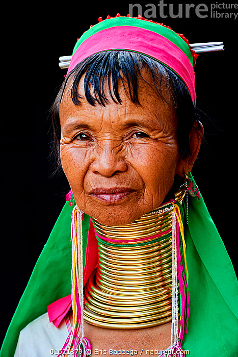 Portrait of Little Girl from Padaung (Karen) Hill Tribe Editorial
