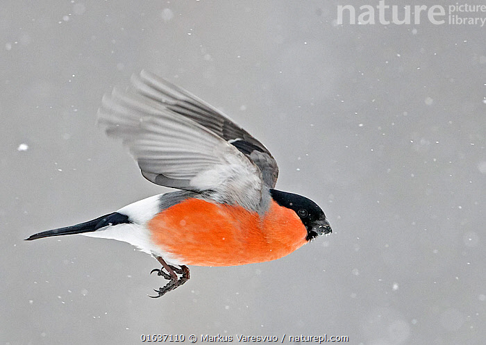 Rima Pendjievning yalangoch jantli surati Kichkina eshakda katta porno onlayn tomosha qiling