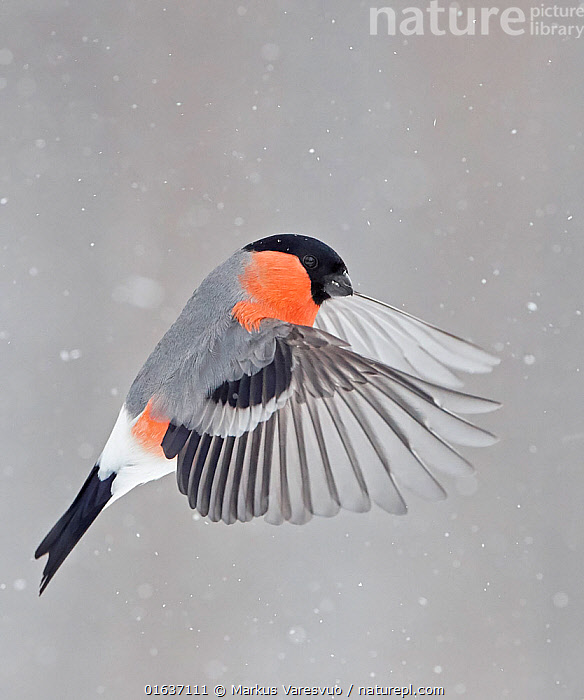 Talabalar porno 1 Yalangoch Natalya Andreychenko video