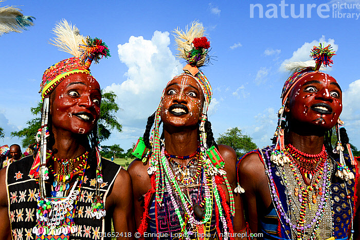 Stock photo of Three men from Wodaabe nomadic tribe celebrating Gerewol, a  gathering of. Available for sale on www.naturepl.com