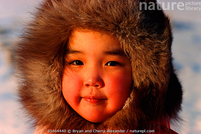 Stock photo of Arnanguaq Qujaukitsok an Inuit girl from Thule