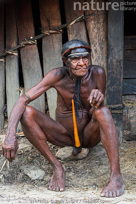 Stock Photo Of Dani Tribe Man With Penis Gourd Koteka Jiwika Village Suroba Trikora