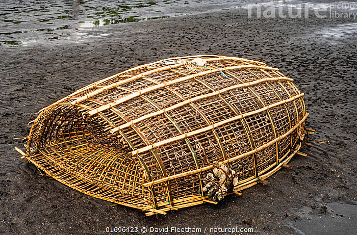 Stock photo of A traditional woven bamboo fishing trap on a volcanic black  sand beach…. Available for sale on