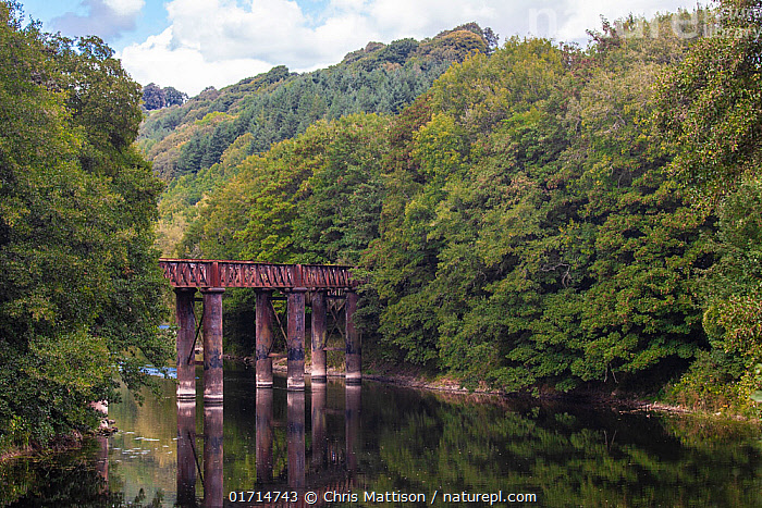 Redburn Bridge Stock photo of Redbrook Bridge, originally railway bridge now used as ...