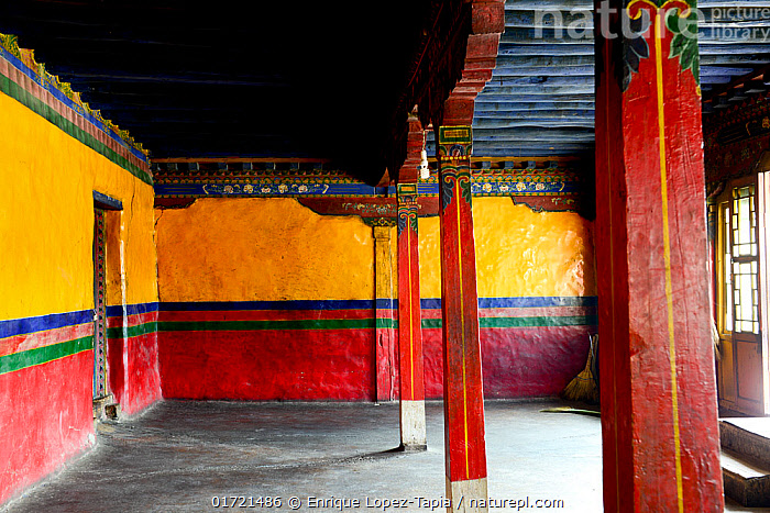 Stock photo of Room inside Drepung Monastery, founded in 1416, one of ...