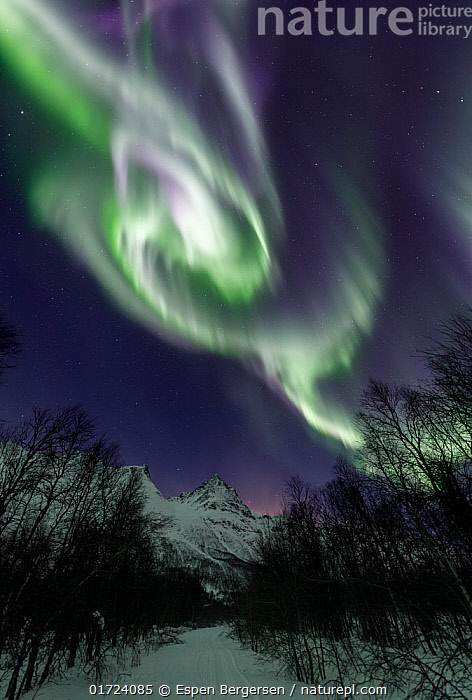 Stock photo of Aurora borealis lighting up the night sky over snow ...