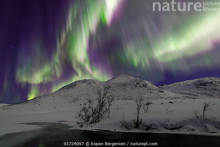 Stock photo of Aurora borealis across the night sky over snow-covered ...