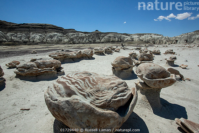 Stock photo of Alien Egg Hatchery rock formation created by weathering ...
