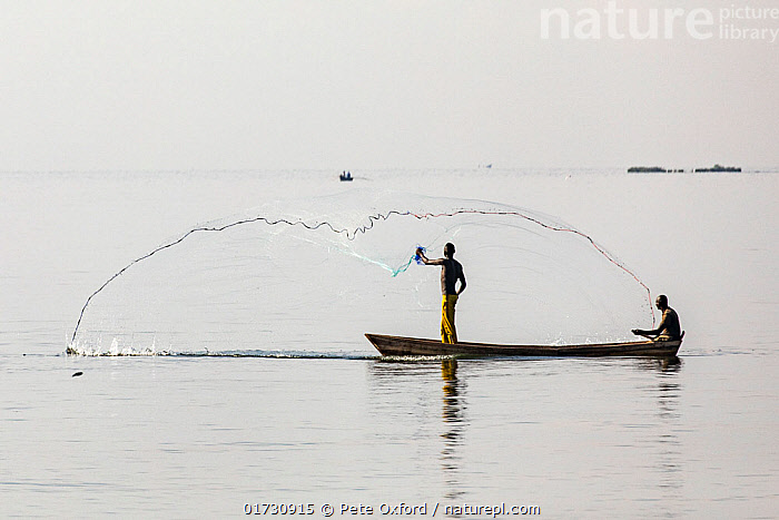 Stock photo of Fisherman casting fishing net from boat on lake