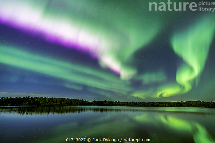 Stock photo of Aurora borealis in night sky over Figure