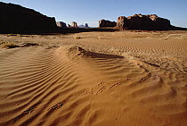 Ripples in sand with buttes in background, Monument Valley Navajo Tribal Park, Arizona