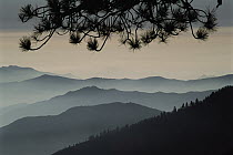 Ridge lines silhouetted in mist, Kings Canyon National Park, California