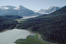 Aerial view of Lake Clark National Park and Preserve showing glacial valley, glacial lakes and boreal forest, Alaska