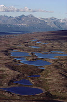 Tundra with ponds and the Alaska Range, Lake Clark National Park and Preserve, Alaska