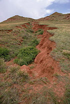 Eroded gully in sedimentary soils, Badlands National Park, South Dakota
