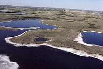 Aerial view of prairie pothole region, a unique area where shallow depressions created by the scouring action of glaciation creates wetland habitat, South Dakota