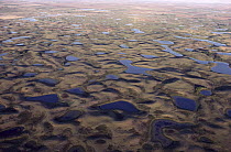 Aerial view of prairie pothole region, a unique area where shallow depressions created by the scouring action of glaciation creates wetland habitat, South Dakota