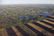 Farmlands encroaching on prairie potholes, North Dakota