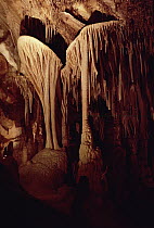 Stalactites at Lehman Caves, Great Basin National Park, Nevada