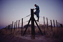African Elephant (Loxodonta africana) fence with Warden, erected to protect agricultural crops from elephant damage, Namibia
