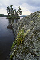 Granite outcropping and island, Boundary Waters Canoe Area Wilderness, Northwoods, Minnesota