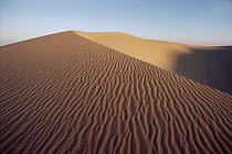 Wind ripples in sand dunes, Namib Desert, Namibia