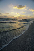 Sunset over shell covered beach, Sanibel Island, Florida