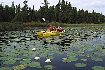 Man and woman kayaking through lily pads, Boundary Waters Canoe Area Wilderness, Minnesota