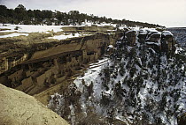 Pueblo or Anasazi Indian cliff dwellings built around 1200 AD, Cliff Palace, Mesa Verde National Park, Colorado