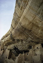 Pueblo or Anasazi Indian cliff dwellings built around 1200 AD, Cliff Palace, Mesa Verde National Park, Colorado