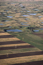 Farmlands encroaching on prairie potholes, South Dakota