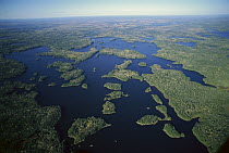 Aerial view of Boundary Waters Canoe Area Wilderness, Minnesota