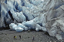 Tourists in front of glacier, Glacier Bay National Park and Preserve, Alaska