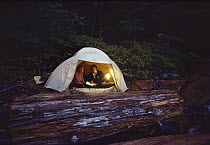 Orca researchers John Ford and Deborah Kavanagh in the field reviewing data in tent, Vancouver Island, British Columbia, Canada