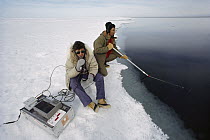 Narwhal (Monodon monoceros) researchers recording vocalizations, Baffin Island, Canada
