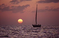 Sailboat adrift at sunset, Sri Lanka