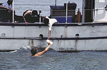 Swimmer delivering mail to research boat, Sri Lanka