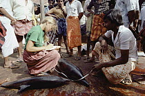 Biologist documenting dolphin bycatch, Sri Lanka
