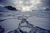 Icefloes and coastline, Antarctica