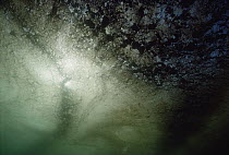 Underwater view of oil spill and sludge in water as a result of Exxon Valdez oil spill, Prince William Sound, Alaska