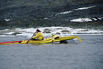 Bowhead Whale (Balaena mysticetus) noses the kayak of biologist Kerry Finley, Isabella Bay, Baffin Island, Canada
