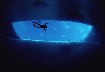 Diver Glenn Williams swimimg under an open ice lead as tour group watches from above, Admiralty Inlet, Baffin Island, Canada