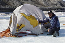 Whale researcher John Ford show polar bear damage to tent, Arctic