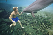 Bottlenose Dolphin (Tursiops truncatus) swimming with a young man, Hawaii