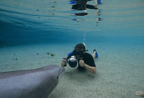Bottlenose Dolphin (Tursiops truncatus) with photographer Flip Nicklin, Hawaii