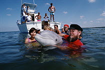 Bottlenose Dolphin (Tursiops truncatus) called Misha is released after two years of sonar study in California, Tampa Bay, Florida