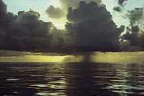 Rain falling from cumulonimbus storm clouds over the ocean, Shark Bay, Australia